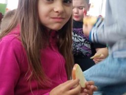 4619949049993131053299711291517747552747114n